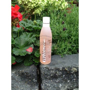 Spa Geur - Energizing Ginger