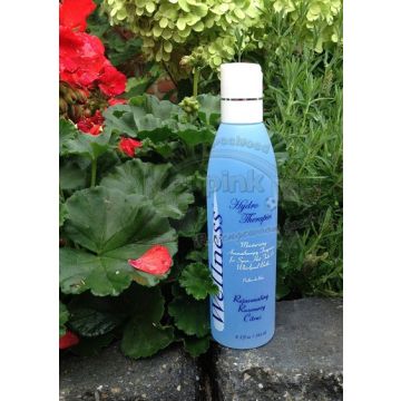 Spa Geur - Rejuvenating Rosemary Citrus