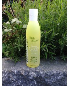 Spa Geur - Uplifting Peppermint Eucalyptus