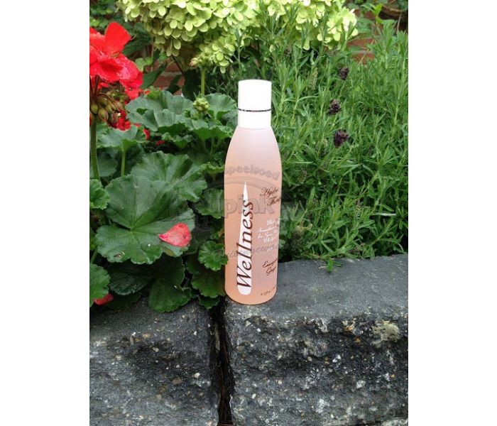 Spa Geur - Energizing Ginger